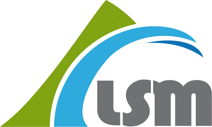 LSM logo